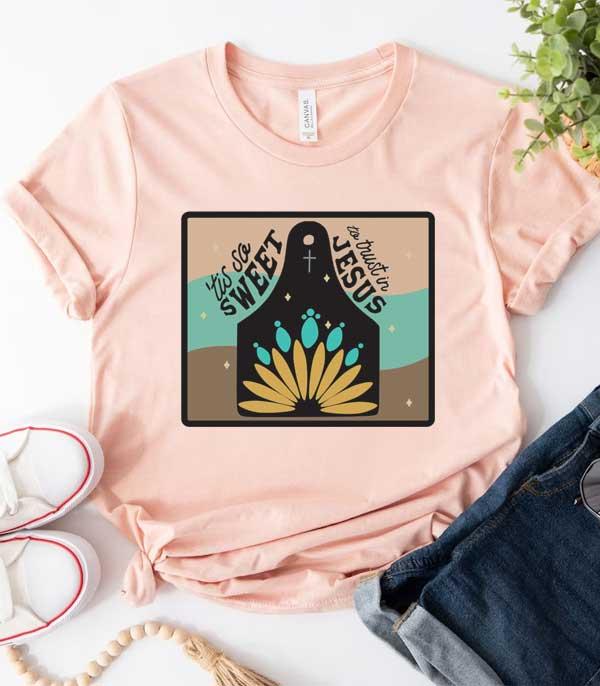 GRAPHIC TEES :: GRAPHIC TEES :: Wholesale Western Bella Canvas Graphic Tshirt
